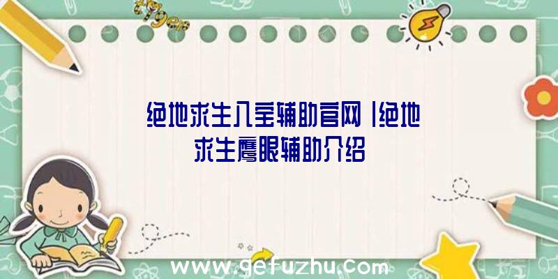 「绝地求生八宝辅助官网」|绝地求生鹰眼辅助介绍